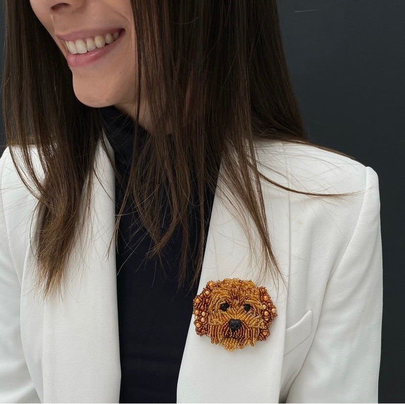 Paolin Perro Labrapoodle