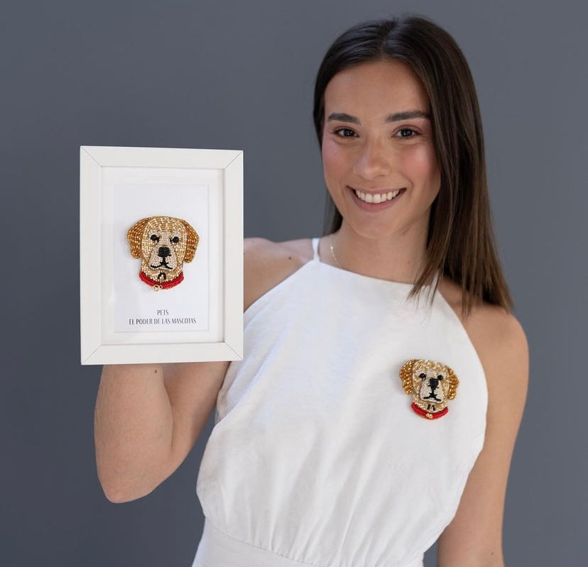 Paolin Perro Labrador Marron