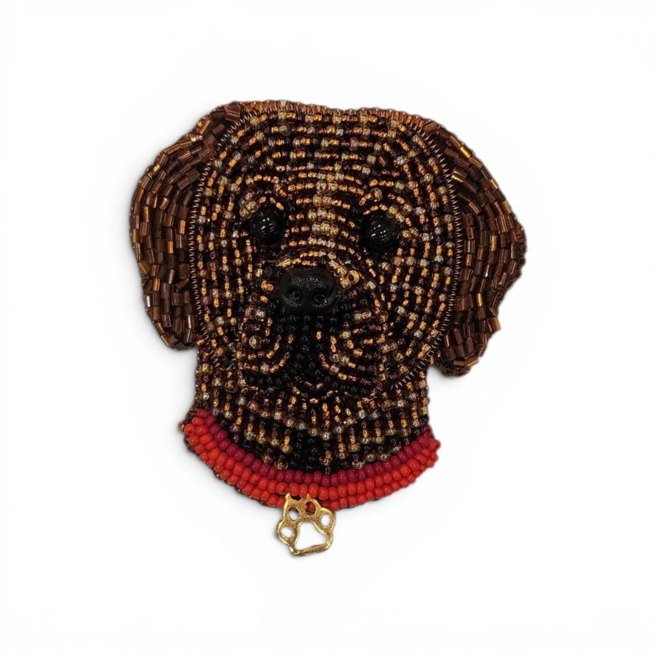 Perro Golden Retriever / Labrador chocolate