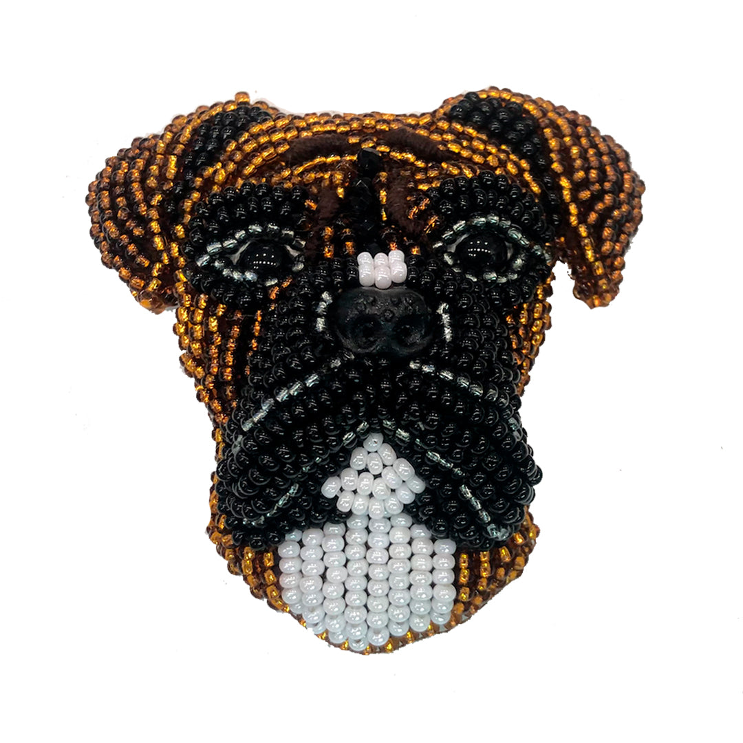 Paolin Perro Boxer