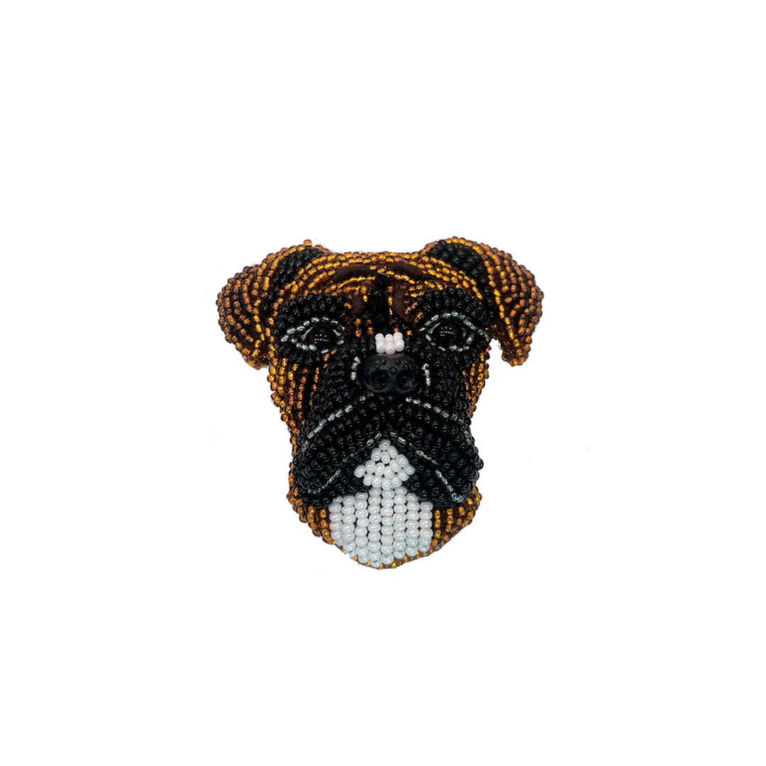 Paolin Perro Boxer