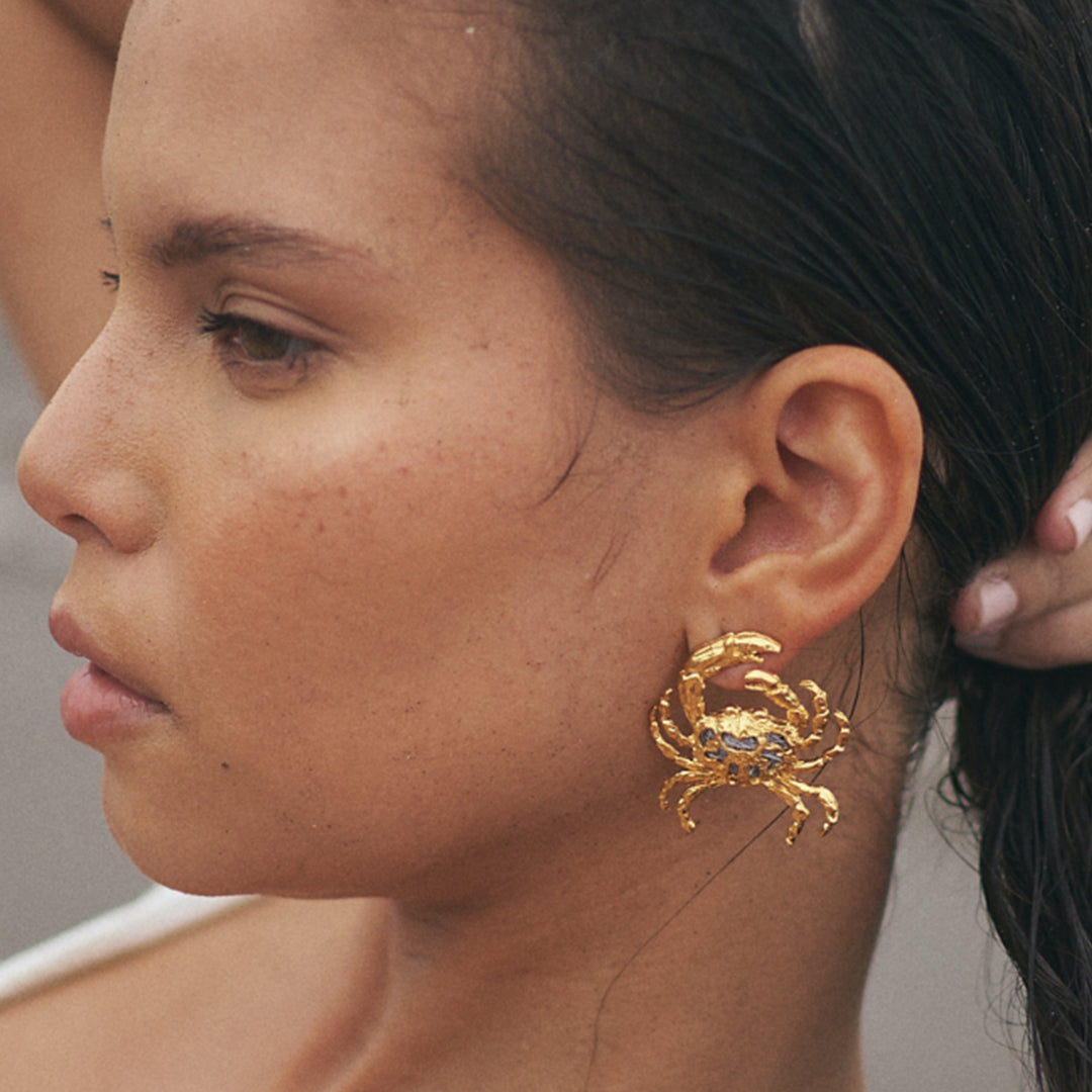 Aretes Cangrejo