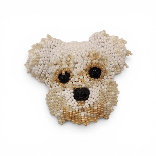 Perro Schnauzer Blanco