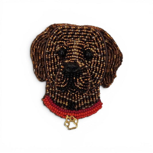 Perro Golden Retriever / Labrador chocolate