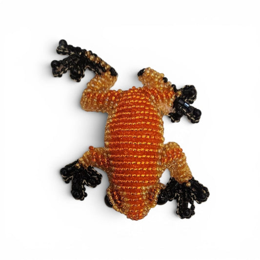 Rana Naranja